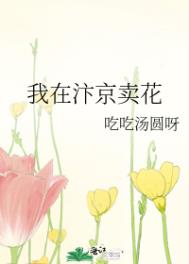 我在汴京卖花番外篇封面