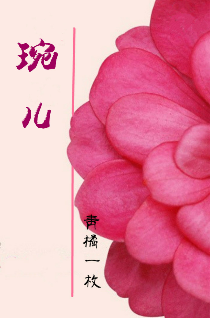 女主名叫婉兒的小說封面