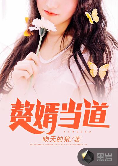我是赘婿免费
