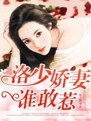 洛少爷 百科