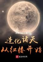 造化诸天从红楼开始 夜静不语